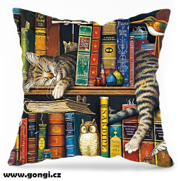 Polštář: Kočka spící v knihovně